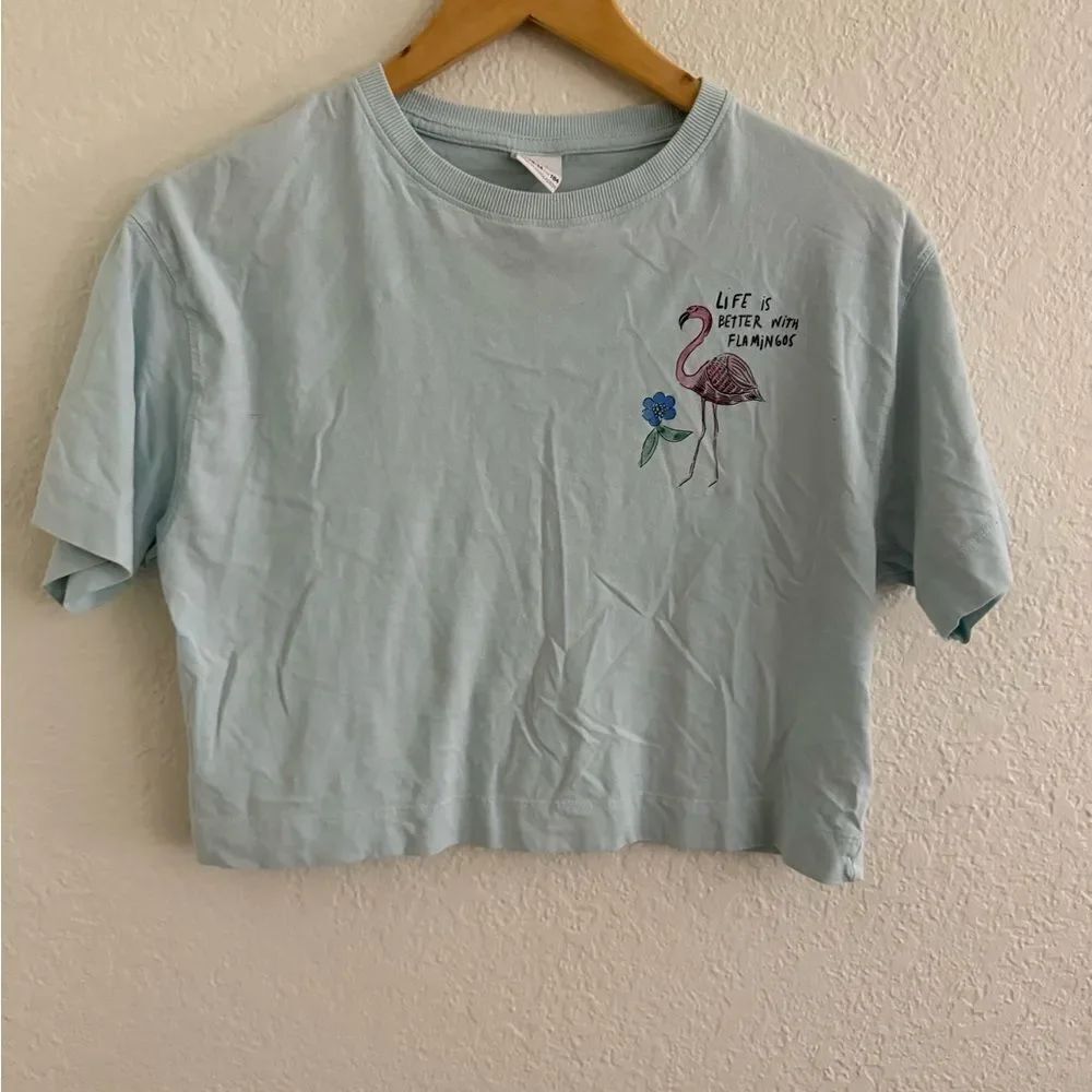 Zara Light Blue Flamingo Tee